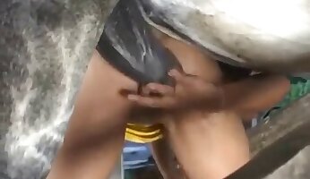 항문 동물원 포르노,동물원 포르노 영화
