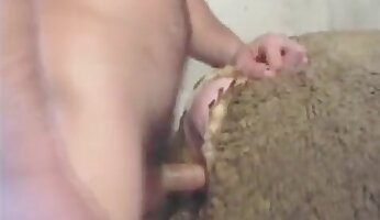 rough fucking,farm bestiality
