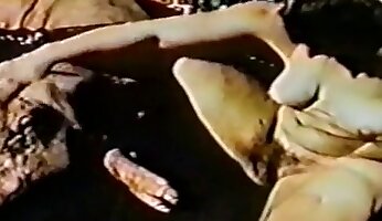 bestialidade na fazenda,pornografia canina