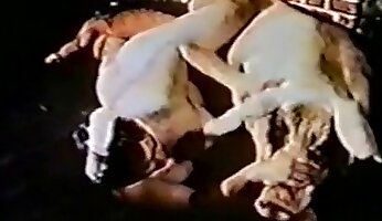农场兽交,狗色情