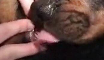 video de sexo canino,video porno zoológico gratis