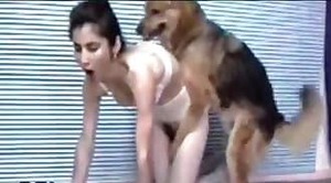 dog-porn,animal-fucked