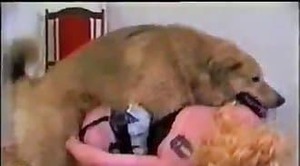 Dog Ladki Ko Choda - Dog sex attack