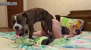Секретный русский зоо секс, жена изменяет с собакой ночью