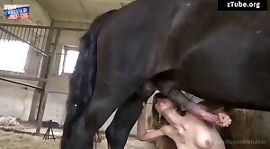 Girl fucking horse to orgasm for real