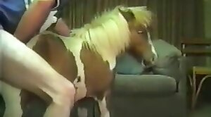 pony,animal-fucked