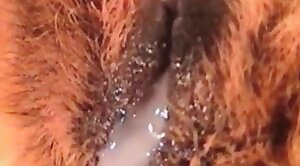 stunning-cunt,internal