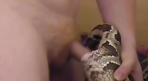 free-videos,bestiality-porn