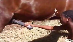 bestiality videos,sex with animals