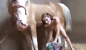 seksiä eläinten kanssa,poni