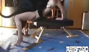 کتے کی جنس,جانور fucks لڑکی