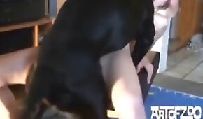 dog sex,animal fucks girl