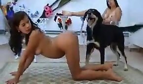 fucking with animals, dog sex