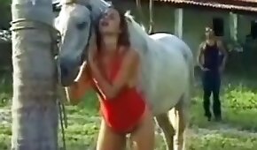 animal fucks girl, fucking with animals