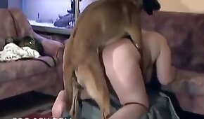 dog sex, animal fuck sex