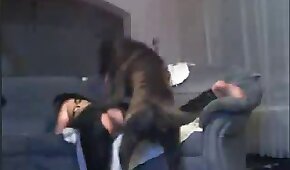 dog sex,sex with animals