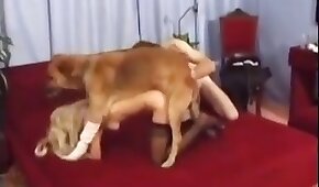 femme et animal,baiser avec des animaux