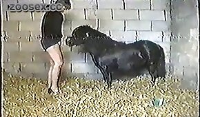 pony, animal fucks girl
