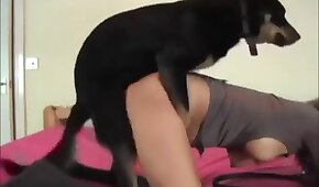 porn with animals, dog sex
