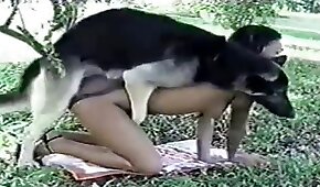 dog sex,fucking with animals