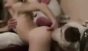animal fucks girl,sex with animals