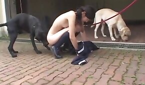 sex with animals,bestiality videos