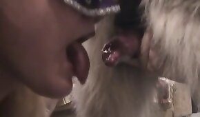 perro sexo,animal folla chica