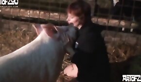 フェラチオ,動物は女の子をファック