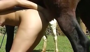 brunette,horse bestiality