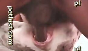 psieho sexu,beštiálne videá