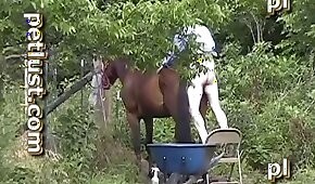 sex with animals,horse bestiality