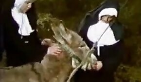 sex with animals,animal porn videos