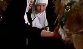 szex állatokkal,állatpornó videók