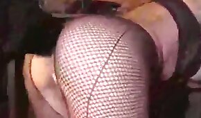 sesso con animali,zoo cazzo porno