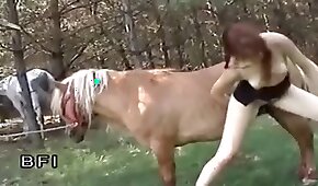 sex with animals,horse bestiality