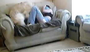 与动物发生性关系,兽交视频