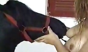 animal fucks girl,sex with animals