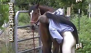 pony,bestiality videos