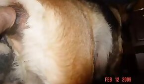 gape,close up scenes