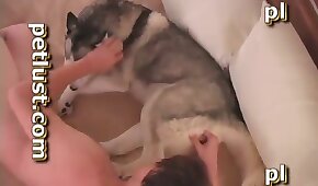 hundesex,jævla med dyr