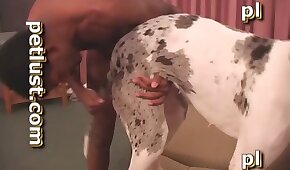 orální bestiální orgie,porno se zvířaty